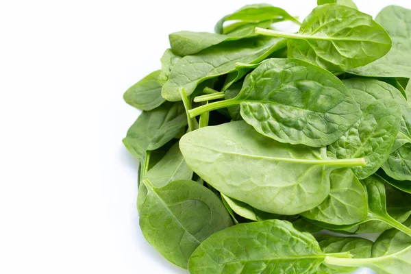 Spinach Leaves White Background — Stock Photo, Image