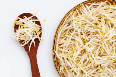 Beyaz fasulye filizi