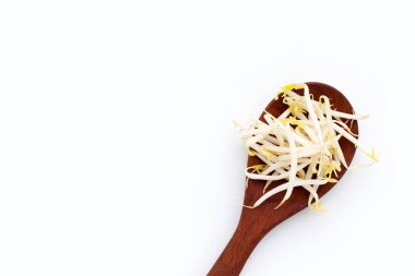 Beyaz arkaplanda fasulye filizi