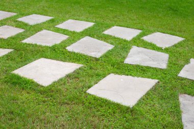 Bahçede yeşil çimenlerin üzerinde taş yol