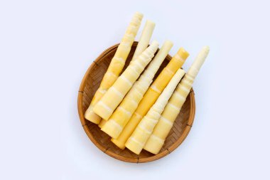 Beyaz arkaplanda bambu filizleri.