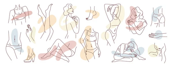 Parties du corps féminines sensuelles, silhouette féminine fille — Image vectorielle