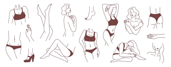 Parti del corpo femminili astratte, contorno minimalista — Vettoriale Stock