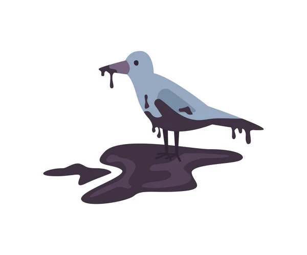 Petroldeki kuş, martı su kirliliği sorunları — Stok Vektör
