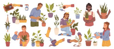 Büyüyen ve ilgilenen ev bitkileri vektörü