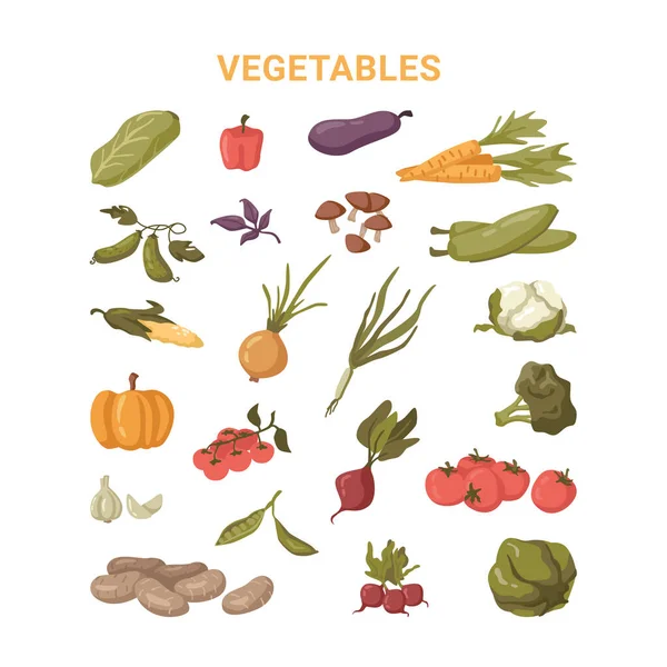Sebzeler, sağlıklı vejetaryen yiyecekler, market. — Stok Vektör