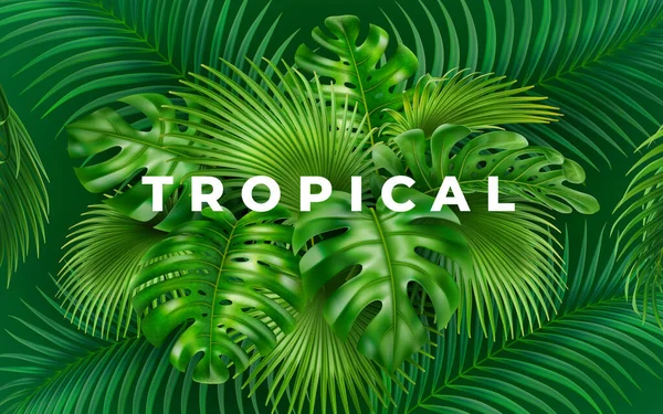 Fondo 3D realista de hojas tropicales verdes — Vector de stock