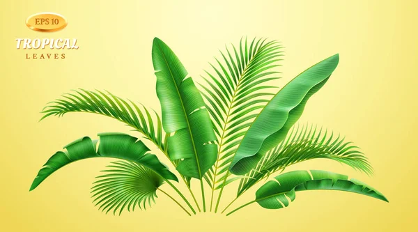 Arbusto realista 3D de hojas de palmeras tropicales verdes — Vector de stock