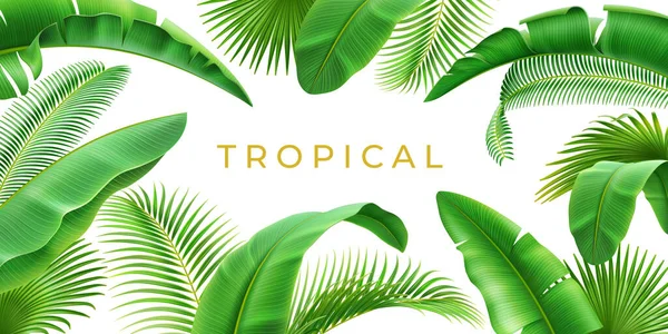 Quadro de fundo de folha tropical 3D realista — Vetor de Stock