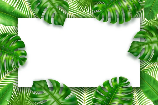Tropical 3D hojas realistas, marco de fondo — Vector de stock