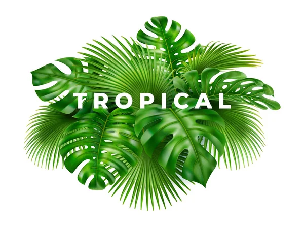 Floresta tropical folhas 3D fundo realista — Vetor de Stock