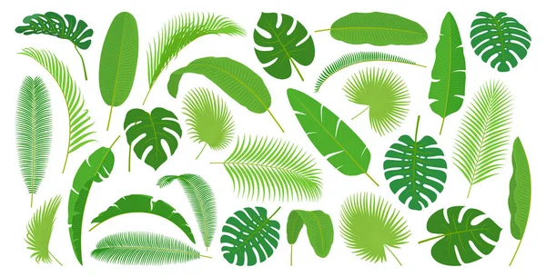 Tropische Blätter, Monstera und Palmen — Stockvektor