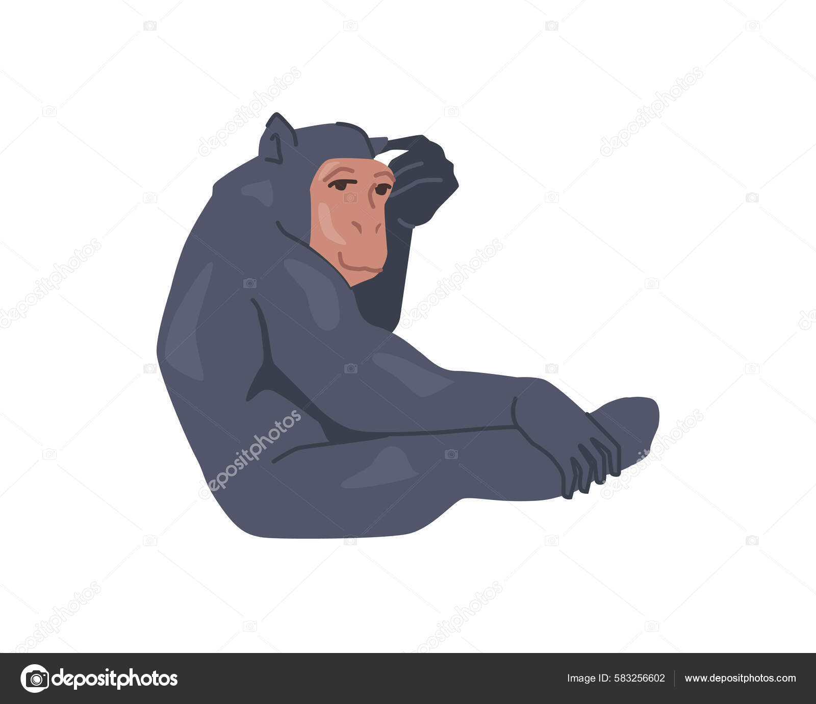 Ilustração vetorial desenhada à mão com alto detalhe de macaco sentado, desenho  realista, esboço