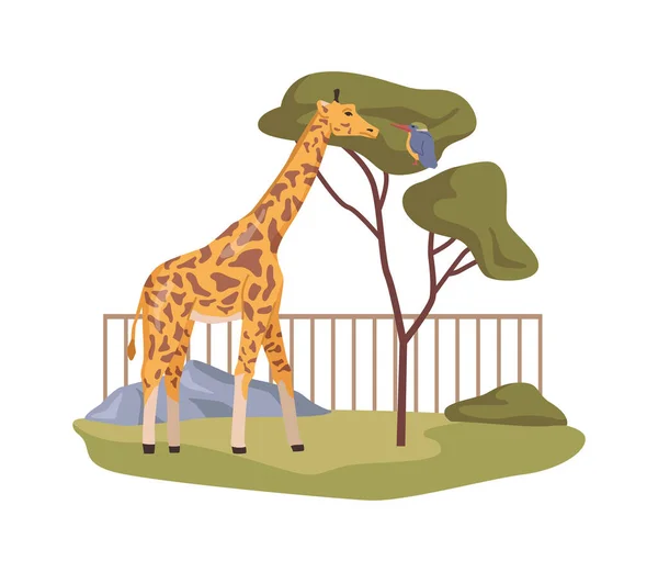 Giraffe African Zoo Natural Habitat Reserve Wildlife Sanctuary Exotic Animals — Stock Vector