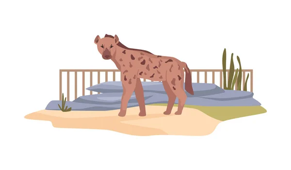Hyena African Nature Reserve Feliform Carnivoran Mammals Zoo Bio Park — Stock Vector