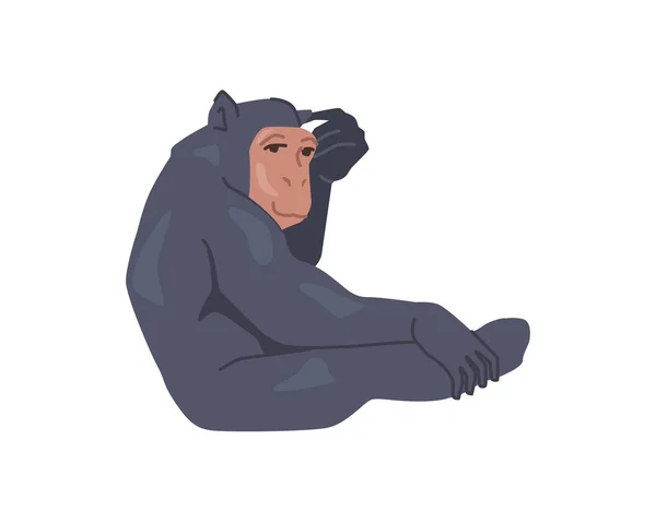 Chimpancé Animal Primates Mamífero Mono Aislado Mono Gorila Bonobospecies Fauna — Vector de stock