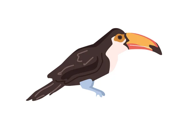 Toucan Wildlife Nature Africa Isolated Bird Massive Beak Black Plumage — Stock Vector