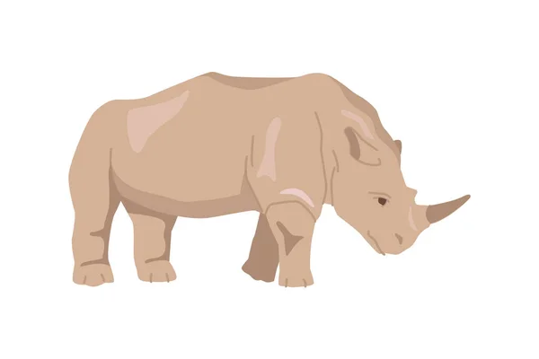 Rhinoceros African Fauna Endangered Animals Isolated Rhino Herbivore Creature Living — Stock Vector