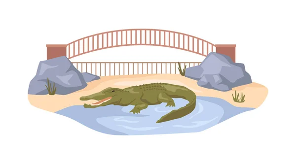 Crocodile Nature Reserve Bio Park Animals Habitat Alligator Zoo Semiaquatic — Stock Vector