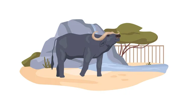 Буффало Биозаповеднике Африканское Бычье Животное Зверинце Бык Зоопарке Парк Охраны — стоковый вектор