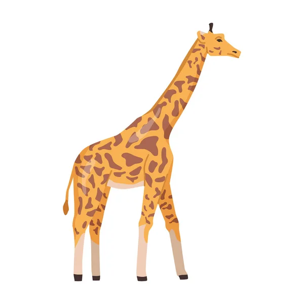 Giraffe Wildlife Species Africa Isolated Wild Hoofed Animal Living Wilderness — Stock Vector