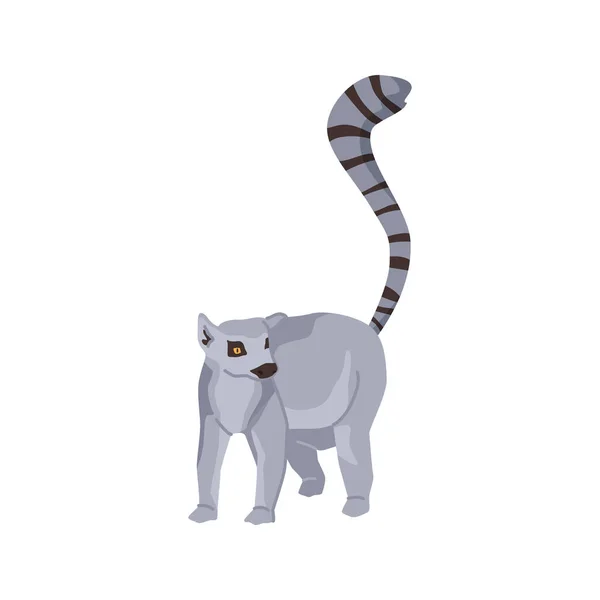 Fauna Africana Lemur Biodiversidad Animal Aislado Con Cola Rayas Largas — Vector de stock