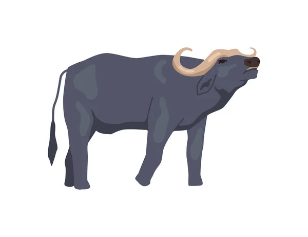 Buffalo African Fauna Wildlife Isolated Bovine Animal Horns Bison Massive — Stock Vector