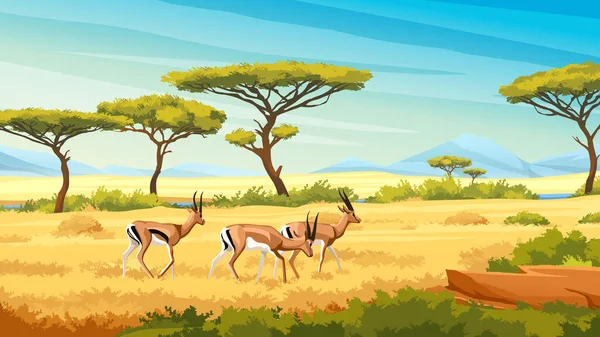 Африканський Ландшафт Савани Дикими Оленячими Молодими Оленятами Природа Африки Карикатурне — стоковий вектор