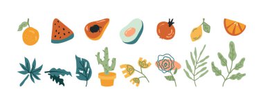 Doodle hand drawn abstract fruits, leaves, floral elements and flowers. Vector orange and watermelon slice, pumpkin and avocado, lemon and green branches