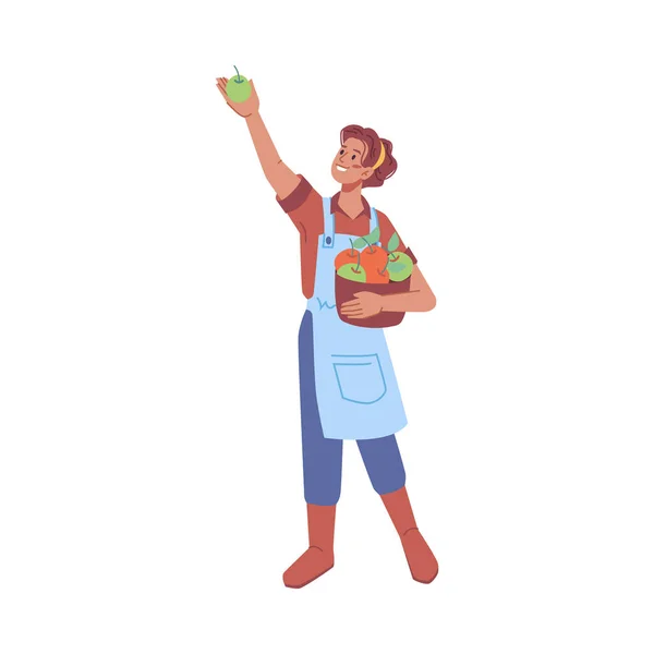 農場で収穫シーズン リンゴを選ぶに達するバスケットを保持孤立した女性の性別 有機果物の栽培と栽培 フラット漫画のキャラクター フラットスタイルのベクトル — ストックベクタ