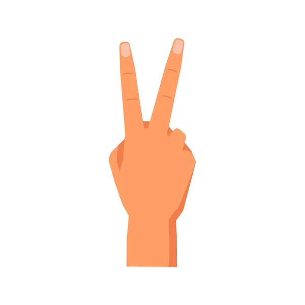 伸出的手指表现出第二 孤立的手势 非语言交流和手语 前臂有胜利或和平的象征 矢量呈扁平型 — 图库矢量图片