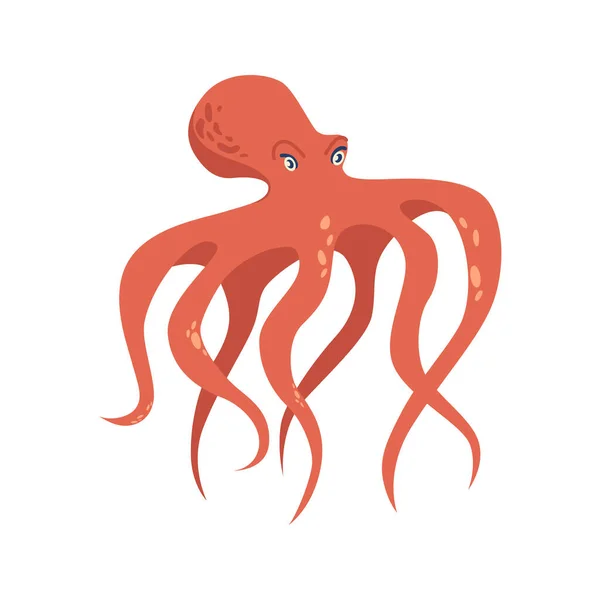 Octopus isolated underwater animal, isolated marine creature and water dweller. Cephalopod mollusk with eight sucker-bearing arms. Vector in flat cartoon style