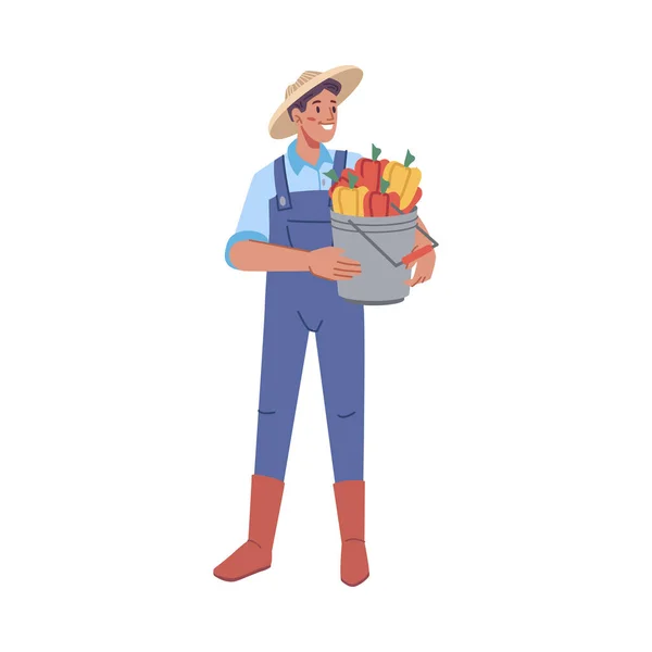 Farming Man Personage Wearing Uniform Holding Bucket Harvested Bell Peppers — Stock Vector