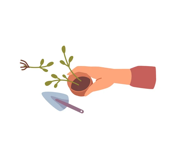 Houseplant Care Gardening Hobby Isolated Hand Holding Small Pot Flower — Stock Vector