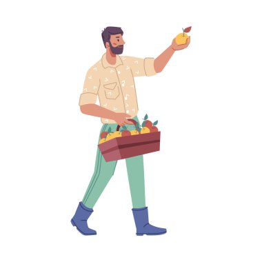 Elma toplayan ve satılık kutu taşıyan çiftçi. Tarımsal iş alanında çalışan yalıtılmış çiftçi erkek karakter. Çizgi film tarzında vektör