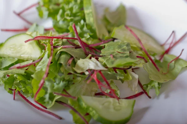 Salad fresh — Stock Photo, Image