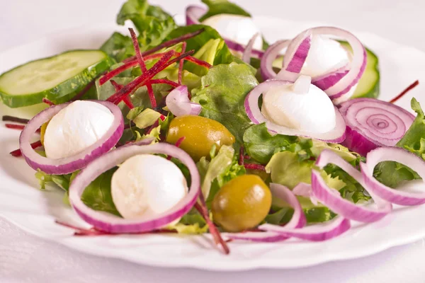 Insalata di mozzarella — Foto Stock