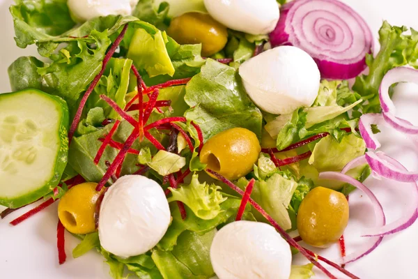 Mozzarella salatası — Stok fotoğraf