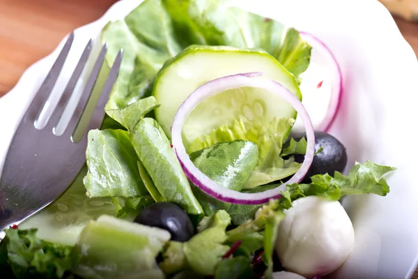 Mozzarella Salad — Stock Photo, Image