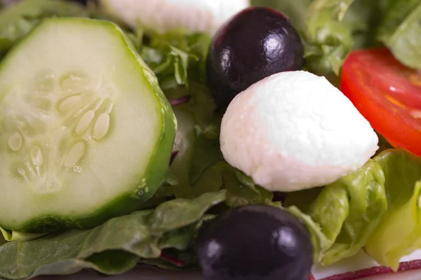 Salade van mozzarella — Stockfoto