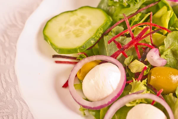 Insalata di mozzarella — Foto Stock