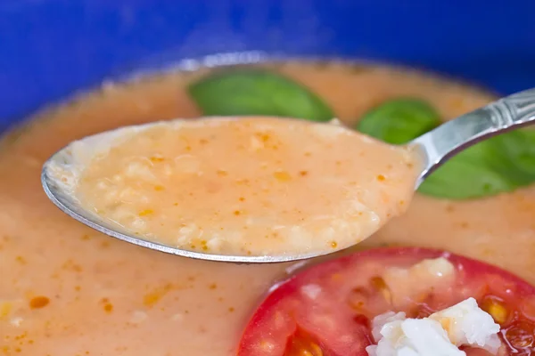 Sopa de gazpacho Imagen De Stock