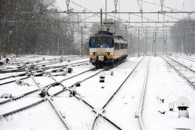 karda tren