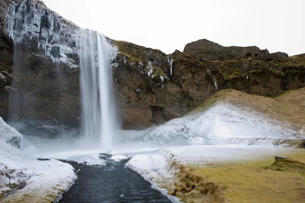 Wodospad Seljalandsfoss o wysokości — Zdjęcie stockowe