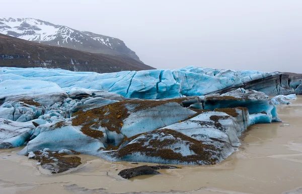 Skaftafellsjokull glacier — Stockfoto