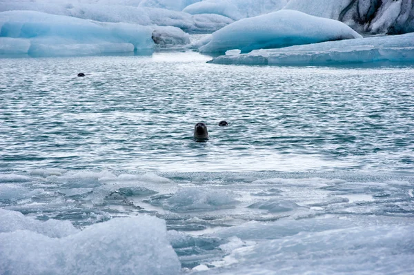 Buzdağları jokulsarlon içinde — Stok fotoğraf