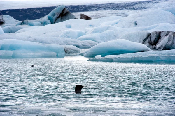 Παγόβουνα στο jokulsarlon — Φωτογραφία Αρχείου