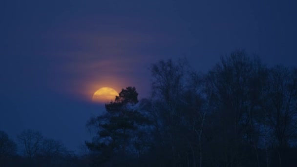 Vueltas de tiempo de salida de la Luna — Vídeo de stock