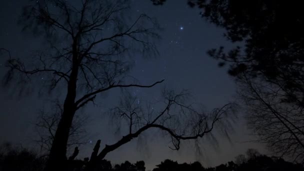 Les tours de temps des sentiers étoilés — Video