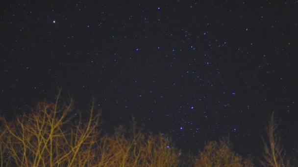 Giri nel tempo di sentieri stellari sui Paesi Bassi — Video Stock